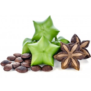 Hạt sachi ăn có tốt không? Hạt sachi ăn có tốt không?