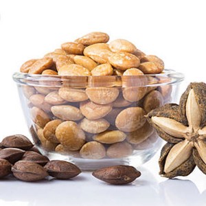 Giá hạt sachi 2021 chuẩn nhất hiện nay Giá hạt sachi 2021 chuẩn nhất hiện nay