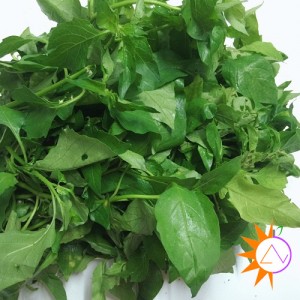 Rau tầm bốp xào tỏi