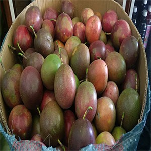 Chanh leo ( chanh dây ) giá bao nhiêu? Chanh leo ( chanh dây ) giá bao nhiêu?