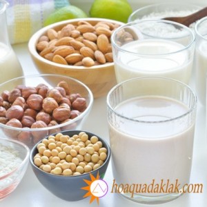 Những loại sữa hạt "dành riêng" cho bà bầu Những loại sữa hạt "dành riêng" cho bà bầu