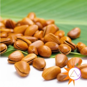 Hạt thông sấy khô - cách ăn đúng nhất Hạt thông sấy khô - cách ăn đúng nhất