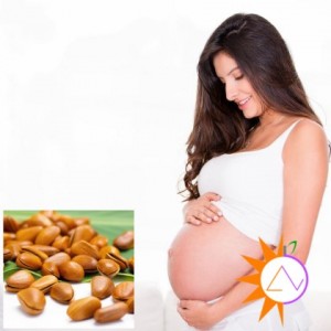 Lợi ích của hạt thông đối với mẹ bầu Lợi ích của hạt thông đối với mẹ bầu