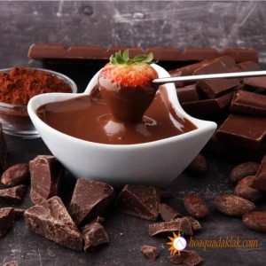 Địa chỉ mua bột ca cao đăk lăk nguyên chất rẻ nhất, uy tín nhất hà nội? Địa chỉ mua bột ca cao đăk lăk nguyên chất rẻ nhất, uy tín nhất hà nội?