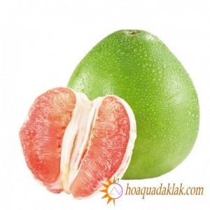 Bưởi da xanh - loại trái cây giảm cân hiệu quả Bưởi da xanh - loại trái cây giảm cân hiệu quả