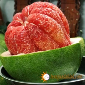 Công dụng tuyệt vời của bưởi da xanh đối với sức khỏe Công dụng tuyệt vời của bưởi da xanh đối với sức khỏe