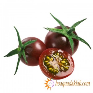 Công dụng của cà chua Socola đối với sức khỏe Công dụng của cà chua Socola đối với sức khỏe