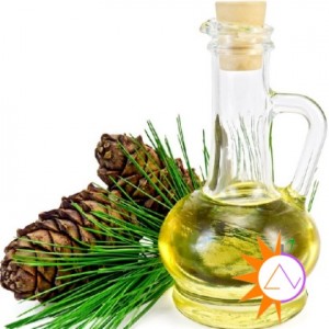 Dầu hạt thông - thông tin cần biết