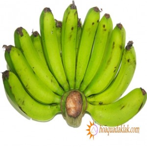 Phân biệt và lưu ý khi mua chuối Laba Đà Lạt