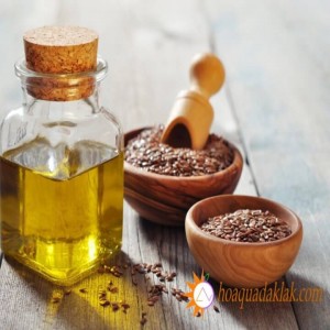 Nguồn gốc dầu mè? Công dùng bất ngờ từ dầu mè nguyên chất Nguồn gốc dầu mè? Công dùng bất ngờ từ dầu mè nguyên chất