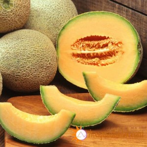 Dưa lưới có bao nhiêu loại?Cách chọn dưa lưới ngon. Dưa lưới có bao nhiêu loại?Cách chọn dưa lưới ngon.