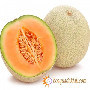 Cách bảo quản dưa lưới - Hướng dẫn cách chế biến dưa lưới Cách bảo quản dưa lưới - Hướng dẫn cách chế biến dưa lưới