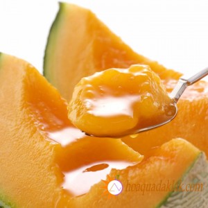 Công dụng của Dưa Lưới đối với sức khỏe chúng ta Công dụng của Dưa Lưới đối với sức khỏe chúng ta