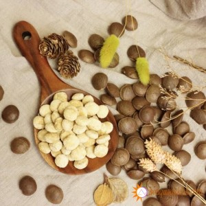 Địa chỉ mua hạt sachi chất lượng, giá rẻ tại hà nội? Địa chỉ mua hạt sachi chất lượng, giá rẻ tại hà nội?