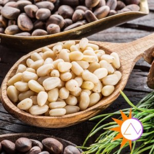 Hạt thông - các thông tin cần biết 