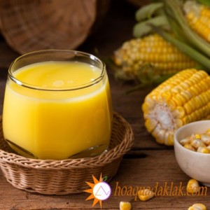 Kinh nghiệm khi chế biến và sử dụng sữa hạt Kinh nghiệm khi chế biến và sử dụng sữa hạt