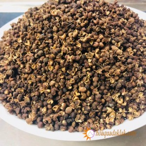 Hạt Mắc Khén vùng Tây Bắc là gì? Công dụng và cách chế biến Mắc Khén