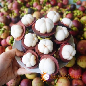 Cách chọn Măng cụt ngon để làm gỏi ngon Cách chọn Măng cụt ngon để làm gỏi ngon