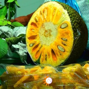 Các loại Mít ngon nhất ở Việt Nam hiện nay Các loại Mít ngon nhất ở Việt Nam hiện nay