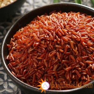 Những điều tuyệt vời từ sữa gạo lứt Những điều tuyệt vời từ sữa gạo lứt