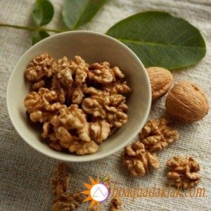 Nên hay không nên cho trẻ sử dụng sữa óc chó? Nên hay không nên cho trẻ sử dụng sữa óc chó?