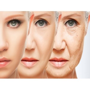 Phòng ngừa lão hóa nhờ những thực phẩm quen thuộc Phòng ngừa lão hóa nhờ những thực phẩm quen thuộc