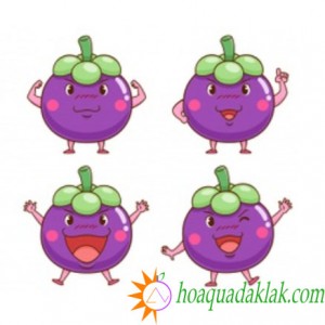 Công dụng của quả măng cụt có biệt danh là "queen of the fruits", cách chọn măng cụt ngon và những thực phẩm kỵ với măng cụt cần lưu ý Công dụng của quả măng cụt có biệt danh là "queen of the fruits", cách chọn măng cụt ngon và những thực phẩm kỵ với măng cụt cần lưu ý