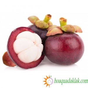 Vỏ quả măng cụt có những tác dụng gì? Vỏ quả măng cụt có những tác dụng gì?