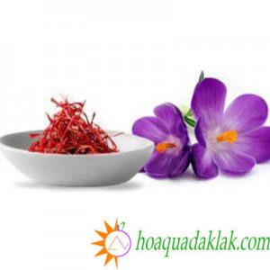 Giới thiệu về nhụy hoa nghệ tây – Saffron, thành phần và tác dụng đối với sức khỏe Giới thiệu về nhụy hoa nghệ tây – Saffron, thành phần và tác dụng đối với sức khỏe