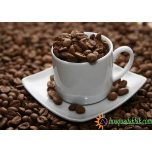 Cà phê nguyên chất Buôn Ma Thuột - Đắk Lắk có gì đặc biệt