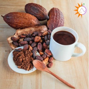 Cách làm Cacao nóng ngon nhất 2022 Cách làm Cacao nóng ngon nhất 2022