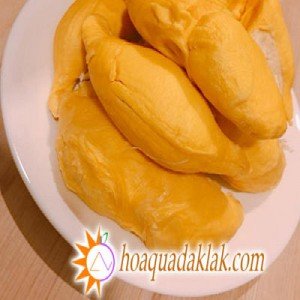 Sầu riêng sạch giá rẻ – Hái tận vườn, giao tận nhà