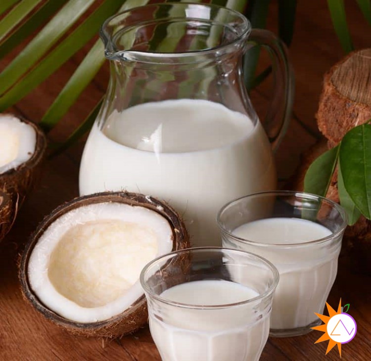 Sữa dừa ít calo, sữa dừa có rất ít vitamin và protein