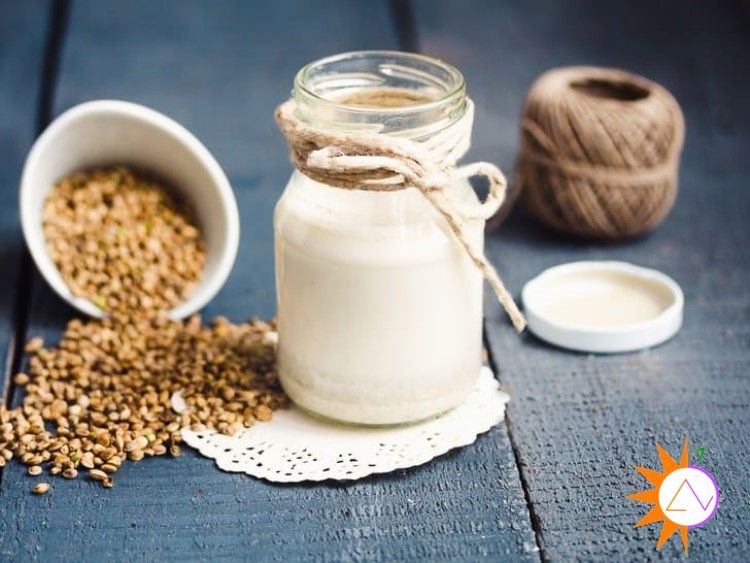 Sữa gai dầu chứa nhiều protein và axit béo quan trọng rất tốt cho việc cải thiện hệ thống tim mạch, duy trì mức cholesterol khỏe mạnh và củng cố làn da