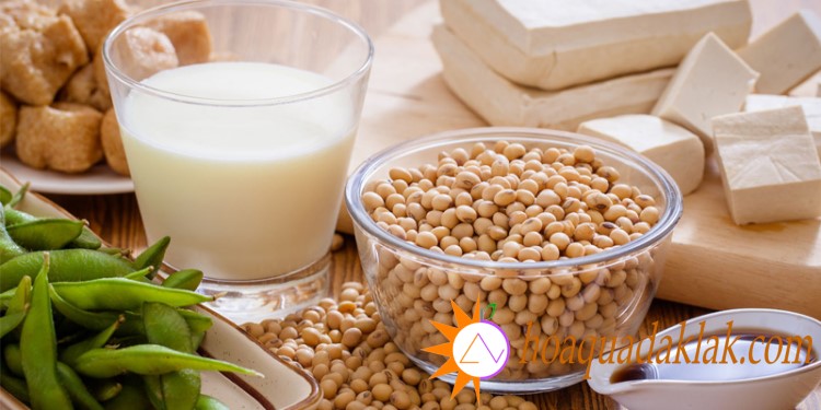 Sữa đậu nành là thức uống dinh dưỡng và quen thuộc