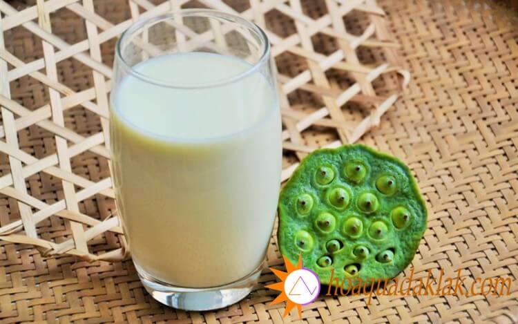 Sữa hạt sen – thức uống bổ dưỡng, tốt cho sức khỏe cả nhà