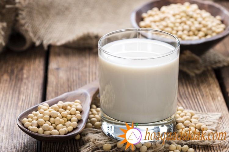 Uống quá nhiều sữa đậu nành cùng một lúc sẽ không hấp thụ được hết chất dinh dưỡng trong sữa đậu nành và dẫn đến tiêu chảy