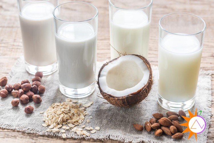 Sữa hạt ngày càng được nhiều người tin dùng và lựa chọn làm bữa phụ bổ sung dưỡng chất mỗi ngày
