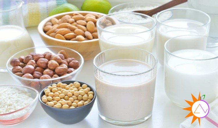 Sữa hạt là thức uống bổ sung dinh dưỡng rất tốt cho cả nam phụ lão ấu