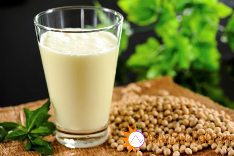 Một trong những vai trò quan trọng nhất của sữa đậu nành là khả năng cải thiện lipid máu