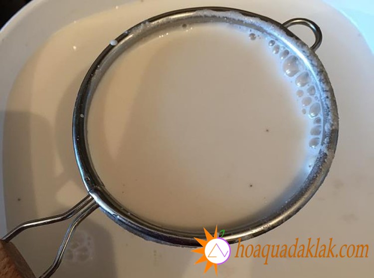 Lọc sữa gạo lứt trước khi nấu chung với đường, sữa 