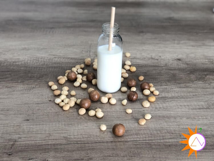 Sữa hạt là thức uống hỗ trợ hệ tiêu hóa và giảm cân tốt