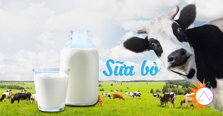 Sữa bò hay sữa hạt chiếm ưu thế hơn trong lòng người tiêu dùng?