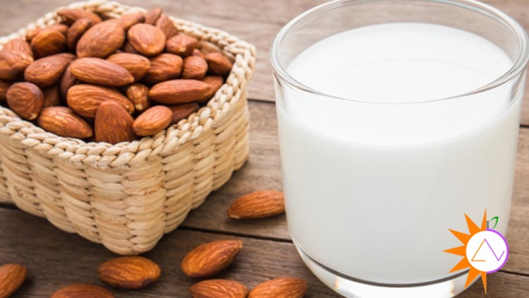 Sữa hạt là loại thức uống được chế biến từ các loại hạt thiên nhiên có nhiều lợi ích nhưng cũng có nhược điểm nhất định