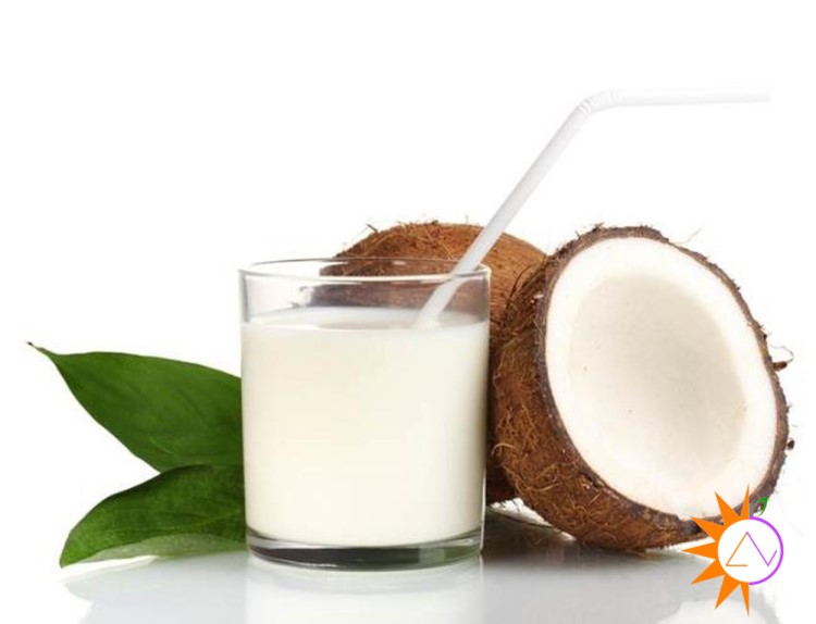 Sữa dừa có thể giúp thúc đẩy sự trao đổi chất và khả năng đốt cháy chất béo của cơ thể