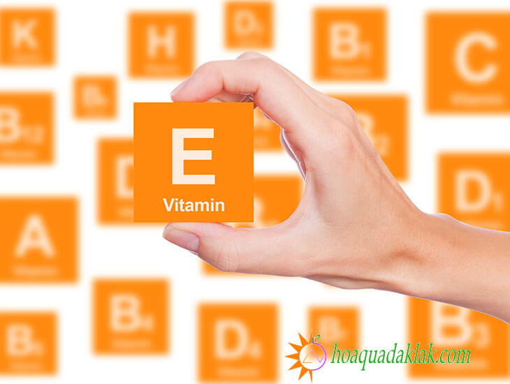 Hạt dẻ cười giàu Vitamin E